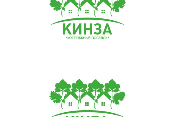 кинза.jpg