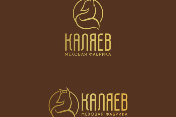 каляев.jpg