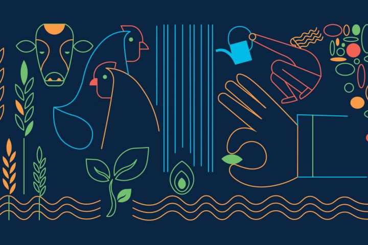 Векторная иллюстрация - 5573654