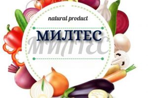 МИЛТЕС (4) (2)