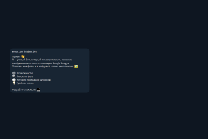 Телеграмм бот для поиска фото через API