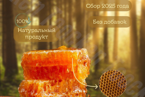 Инфографика для сотов