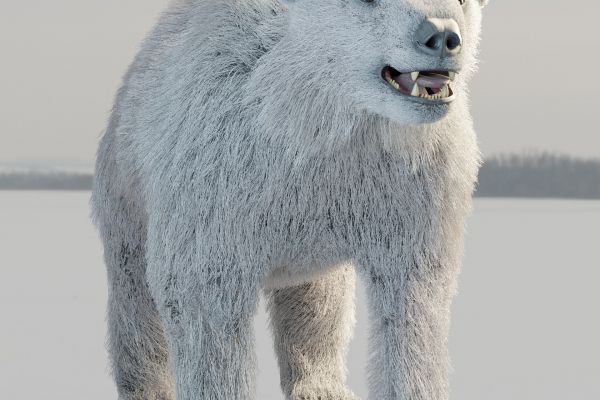 Белый медведь