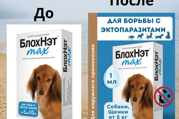 Инфографика. Товары для собак.