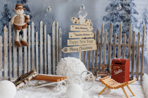 Семейная новогодняя съёмка 3