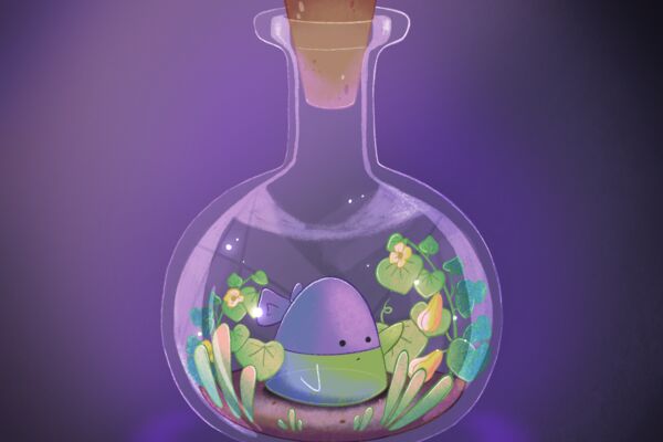 IMG_3529.PNG