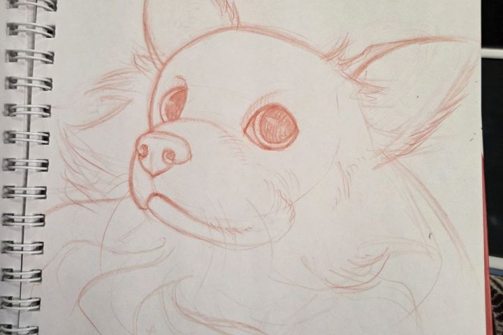 Милый портрет питомца - 5579043