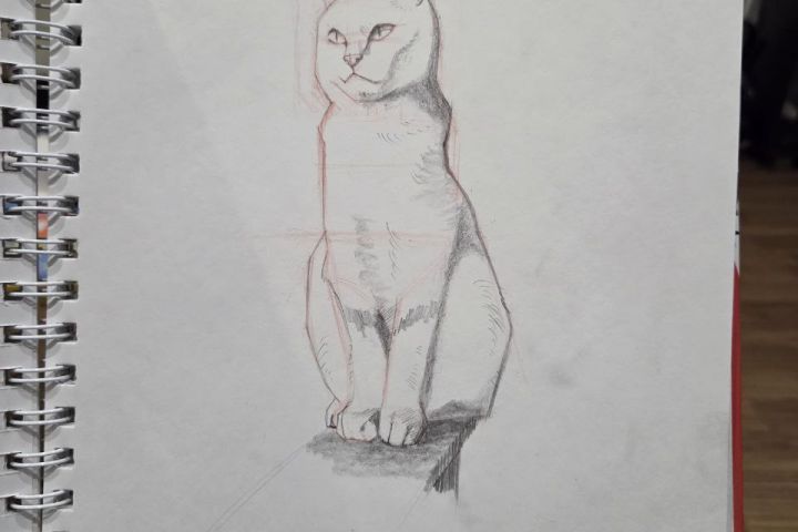 Милый портрет питомца - 5579045