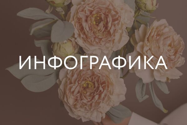 Инфографика