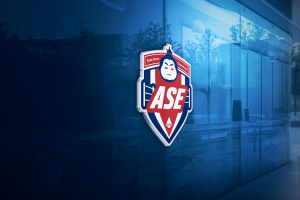 Логотип для организации по проведению боёв сумо на воде — ASE