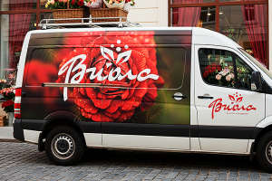 Виола / Логотип