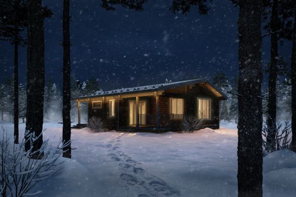 Визуализация деревянного дома в зимнем лесу