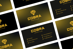 Логотип и визитка для спортивного клуба Cobra