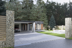 "дом как живой организм"