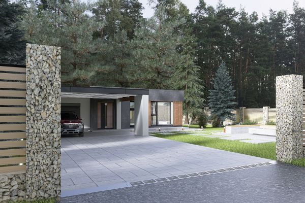 "дом как живой организм"