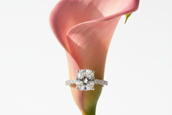 image_1761760797254_xymgl3_1x1_1024x1024.png