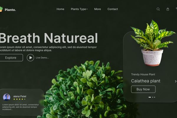 Landing page - Сайт магазина растений