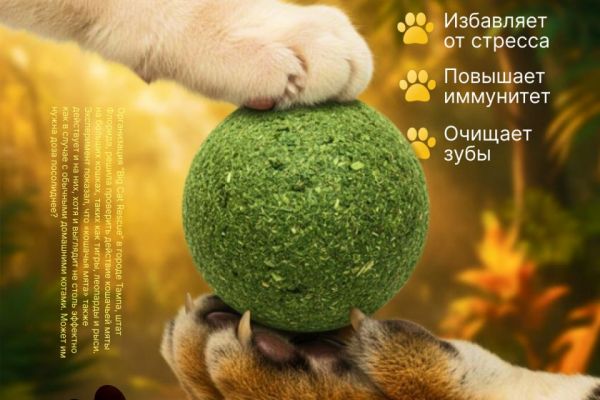 Разразботка главного слайда