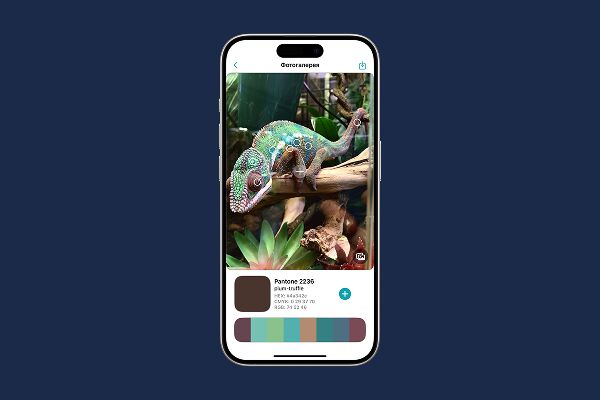 Dribbble shot HD - 1.png