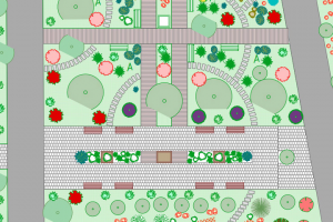 Ландшафтный дизайн участка