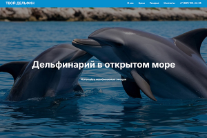 Дельфинарий - лэндинг