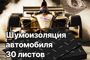 Шумоизоляция авто и мышонок