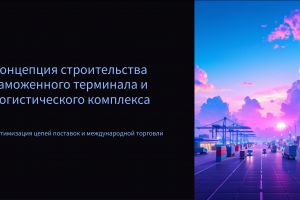 Koncepciya-stroitelstva-tamozhennogo-terminala-i-logisticheskogo