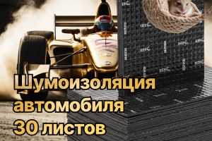 Шумоизоляция авто и мышонок 2