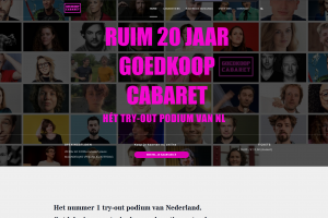 Техническое сопровождение + полный перенос на Elementor сайта Wordpress.