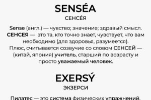 SENSEA, EXERSY