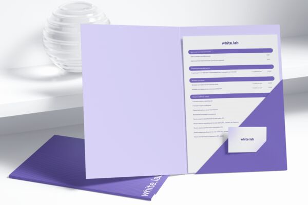 Folder and Paper with Business Card.png