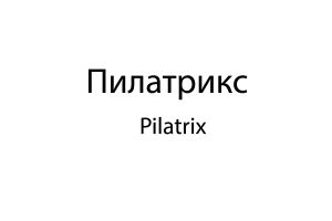 pilatrix