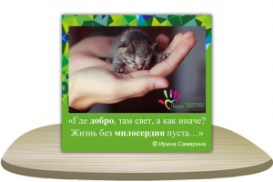 Баннер Для Благотворительного Фонда Детей Инвалидов