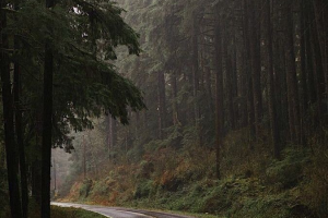 Статья Тайные знаки путешествия