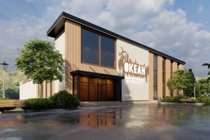 Эскизный проект здания и окружения.