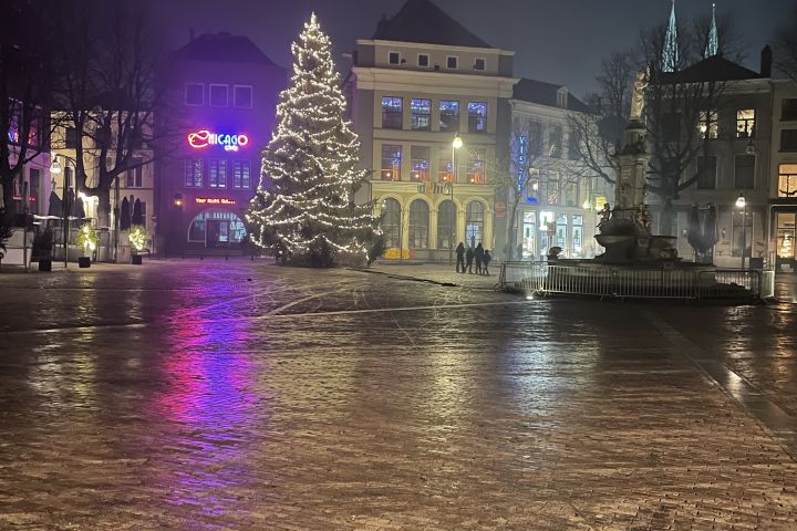 Переводы текстов с нидерландского на русский и с русского на нидерландский