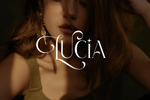 Разработка дизайна шрифтового логотипа