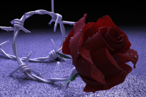 Креатив 3D моделинг рендер фотошоп