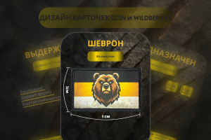 Разработка дизайна инфографики шеврона