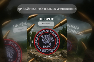 Разработка дизайна инфографики шеврона