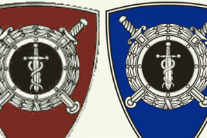 отрисовка лого в векторе