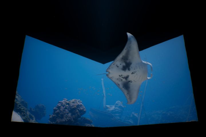 Cinematic/анимация - 5592740