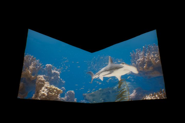 Cinematic/анимация - 5592743