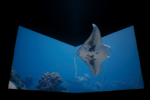 Сinematic nuked eye