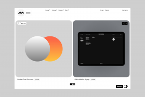 Фрагмент работы