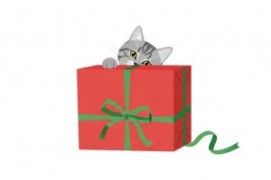 Подарок и кот1