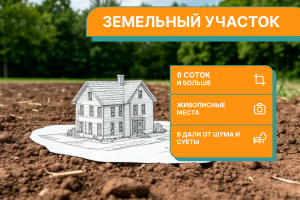 Дизайн для Авито объявлений