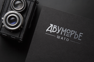 Фирменный стиль для компании "ДВУМОРЬЕ"