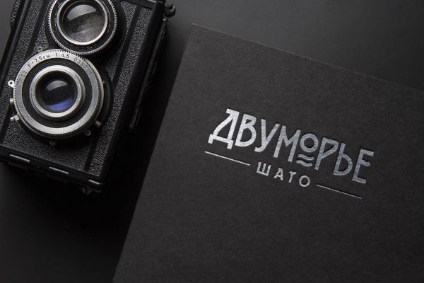 Фирменный стиль для компании "ДВУМОРЬЕ"