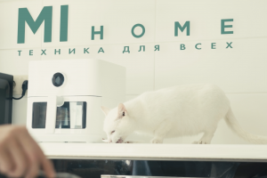 Рекламный ролик для магазина техники